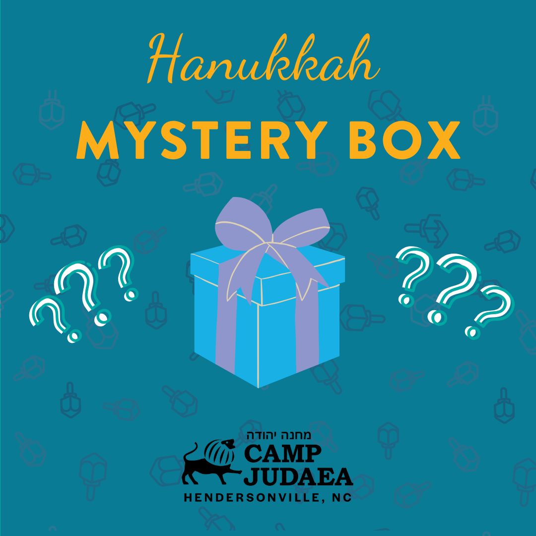 Hanukkah Mystery Box